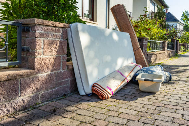 Yard Cleanup Services